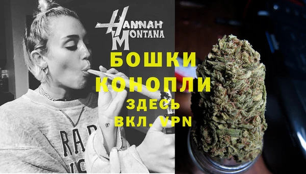 трава Абаза