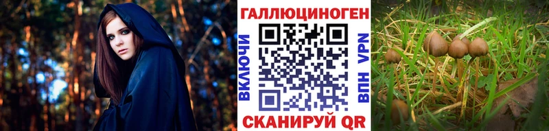 как найти закладки  Тюкалинск  Галлюциногенные грибы MAGIC MUSHROOMS 